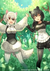  2girls :d ^_^ animal_ears arms_up bad_id bad_twitter_id black_eyes black_hair black_legwear black_shorts bow bowtie closed_eyes commentary_request day duplicate extra_ears forest fur_collar gradient_hair green_theme hair_between_eyes jpeg_artifacts kemono_friends kemono_friends_3 kemono_friends_3:_planet_tours legs_apart long_hair long_sleeves malayan_tapir_(kemono_friends) multicolored_hair multiple_girls nature open_mouth outdoors outstretched_arms pantyhose short_hair shorts skirt smile southern_tamandua_(kemono_friends) tail tamandua_ears tamandua_tail tapir_ears tapir_tail tobi_(kotetsu) tree white_bow white_bowtie white_hair white_legwear 