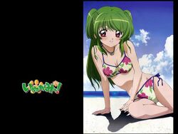  beach bikini blush cloud day female floral_print green_hair imageboard_desourced inukami! jewelry long_hair necklace non-web_source red_eyes side-tie_bikini_bottom smile solo swimsuit two_side_up water youko_(inukami) 