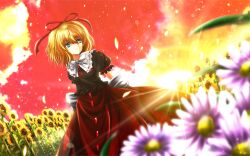  blonde_hair blue_eyes bow capelet commentary_request dutch_angle female field flower flower_field from_below hair_ribbon half-closed_eyes highres looking_to_the_side medicine_melancholy nekominase outdoors pensive petals purple_flower red_sky ribbon shirt short_hair short_sleeves skirt sky solo sun sunflower sunflower_field sunset touhou yellow_flower 