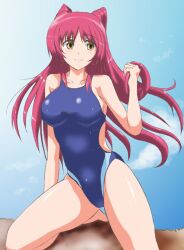  breasts brown_eyes commentary_request competition_swimsuit female kousaka_tamaki long_hair one-piece_swimsuit red_hair swimsuit tekuni_amane to_heart_(series) to_heart_2 