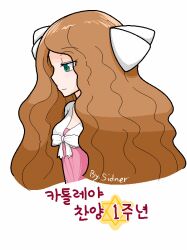  aliasing animated animated brown_hair by_sidenr caitlin cattleya_(pokemon) dcinside elite_four female green_eyes korean long_hair pixel_art pokemon sidner simple_background solo star_of_david translation_request white_background 