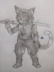  3:4 anthro clothing domestic_cat english_text eyewear felid feline felis gloves glowing_sword goggles handwear hi_res hoodie katana male mammal melee_weapon rhonbon sword text topwear weapon 