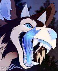  2024 ambiguous_gender anthro blue_eyes blue_horn blue_inner_ear_fluff blue_sclera blue_tongue brown_body brown_fur cheek_tuft dated facial_tuft fangs forked_tongue fur horn inner_ear_fluff licking licking_lips licking_own_lips mouth_shot open_mouth outside rayliicious signature solo species_request teeth tongue tuft white_body white_fur 