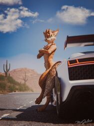  3d_(artwork) anthro blender_(artwork) blender_cycles cactus car desert digital_media_(artwork) fluffy fur hair hi_res male mammal mrgaleo outside paws plant rexouium sky smile solo tail vehicle 