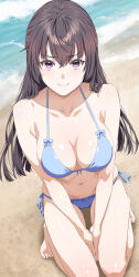  beach between_legs bikini black_hair blue_bikini breasts cleavage closed_mouth commentary_request crossed_bangs female hair_between_eyes halterneck hand_between_legs highres kneeling large_breasts long_hair looking_at_viewer navel ocean outdoors palms_together purple_eyes side-tie_bikini_bottom smile solo suou_yuki swimsuit tokidoki_bosotto_roshia-go_de_dereru_tonari_no_arya-san zucchini 