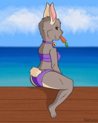  2d_animation animated anthro artist_name ass bell big_ears blinking brown_eyes carrot chewing_object clothing ear_flick eyes female food fur grey_body grey_fur humanoid lagomorph leporid mammal mouth_closed plant purple_clothing rabbit scut_tail sea short_playtime short_tail solo swimwear tail tail_motion tailwag thick_thighs vegetable water 