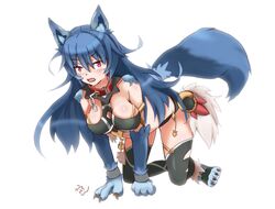  all_fours animal_ears blue_hair blush breasts claws collar commentary female fooring froze_(monster_musume) long_hair medium_breasts monster_girl monster_musume_no_iru_nichijou monster_musume_no_iru_nichijou_online oerba_yun_fang open_mouth pink_eyes simple_background solo tail white_background wolf_ears wolf_girl wolf_paws wolf_tail 