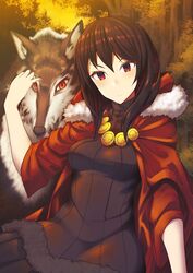  aroha_j breasts cloak commentary_request female forest frown highres leslie_the_moon_queen looking_at_viewer medium_breasts medium_hair nature orange_eyes outdoors pixiv_fantasia pixiv_fantasia_last_saga red_cloak red_eyes solo wolf 