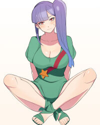  arms_behind_back blush breasts cleavage collarbone embarrassed feet female green_leotard gundam gundam_zz highres indian_style konishiki_(52siki) leotard long_hair looking_at_viewer medium_breasts purple_eyes purple_hair roux_louka sandals shirt short_sleeves side_ponytail simple_background sitting solo star_(symbol) star_print toes white_background white_shirt 