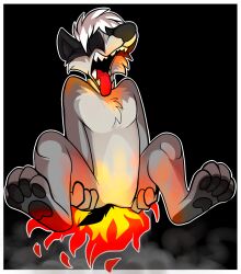  anthro badger burning butt_on_fire closed_eyes digital_media_(artwork) fatalsyndrome fire fur grey_body grey_fur hand_on_butt hi_res male mammal mustelid musteline open_mouth pain sharp_teeth smoke solo tail_on_fire teeth tongue tongue_out 