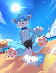  absurd_res anthro ball beach beach_ball blue_body blue_collar blue_eyes blue_fur blue_hair blue_tail blush blush_lines canid canine chest_tuft clothing collar fox fur hair hi_res inflatable kemono male mammal mikey_(mikey_fox) open_mouth pawpads paws sand shy sitting sitting_on_ground solo swimming_trunks swimwear tail terri_the_dragon tuft 