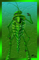  2007 3_fingers 4_arms ambiguous_gender antennae_(anatomy) anthro arthropod biped border digital_drawing_(artwork) digital_media_(artwork) elytron exoskeleton eyelashes fingers gradient_background green_antennae green_background green_body green_border green_exoskeleton green_eyes green_theme insects katydid looking_back multi_arm multi_limb multicolored_body multicolored_exoskeleton nude orthopterid outside_border portrait rear_view seriayne simple_background solo standing striped_body striped_exoskeleton stripes textured_background three-quarter_portrait two_tone_body two_tone_exoskeleton white_body white_exoskeleton white_stripes zebra_katydid 