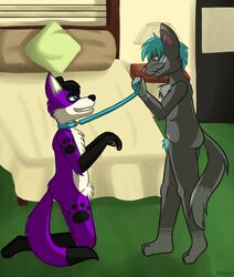  anthro bed bedroom canid canine canis cody_(dannyazazel) collar dannyazazel domestic_cat domestic_dog duo elkhound felid feline felis furniture hi_res kneeling leash male male/male mammal master pawalo slave spitz 