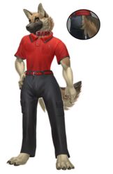  alpha_channel anthro athletic belt black_body black_fur black_nose bottomwear breast_pocket brown_body brown_eyes brown_fur canid canine canis cargo_pants clawed_fingers claws clothed clothing collar cutaway digitigrade domestic_dog dress_pants dsw7 fully_clothed fur german_shepherd hand_on_hip herding_dog hi_res krieg_gsd looking_at_viewer male mammal pants pastoral_dog pawpads paws pen polo_shirt red_leather shirt short_sleeved_shirt short_sleeves solo tail tan_body tan_fur toe_claws topwear tucked_shirt 