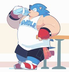  2015 anthro biped black_nose blue_body bodily_fluids bottle bottomwear closed_eyes clothing container drinking drinking_water eulipotyphlan greenendorf hedgehog hi_res humanoid_hands male mammal musclegut muscular sega shirt shorts solo sonic_the_hedgehog sonic_the_hedgehog_(series) sweat text text_on_clothing text_on_shirt text_on_topwear topwear water_bottle 