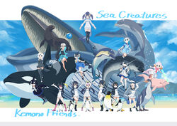  6+girls animal_ears beach black_hair blonde_hair blue_sky blue_whale blue_whale_(kemono_friends) blush boots breasts brown_eyes california_sea_lion_(kemono_friends) californian_sea_otter_(kemono_friends) chinese_white_dolphin_(kemono_friends) common_bottlenose_dolphin_(kemono_friends) common_dolphin_(kemono_friends) creature_and_personification dolphin emperor_penguin_(kemono_friends) gentoo_penguin_(kemono_friends) giant_penguin_(kemono_friends) hair_over_one_eye headphones highres hood humboldt_penguin_(kemono_friends) jacket kemono_friends kemono_friends_3 leotard long_hair looking_at_viewer multicolored_hair multiple_girls narwhal narwhal_(kemono_friends) open_mouth orca orca_(kemono_friends) otter penguins_performance_project_(kemono_friends) red_eyes rockhopper_penguin_(kemono_friends) royal_penguin_(kemono_friends) sea_lion short_hair skirt sky smile tail thigh_boots thighhighs white_hair yamaguchi_yoshimi 