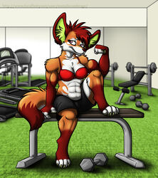  2016 4_toes abs anthro athletic_wear bottomwear bra breasts brown_body brown_fur brown_hair brown_nose canid canine claws clothed clothing dipstick_tail dumbbell feet female fingerless_(marking) flexing fox fur green_body green_fur gym gym_bottomwear gym_shorts hair hi_res inner_ear_fluff inside lara_(daniel156161) mammal markings metallicumbrage mirror multicolored_body multicolored_fur multicolored_tail muscular muscular_anthro muscular_female pink_eyes short shorts signature sitting small_breasts solo stocky tail tail_markings tan_body tan_fur text toe_claws toeless_(marking) toes treadmill tuft underwear url watermark weight_bench weights white_body white_fur 