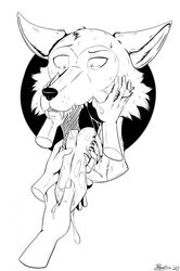  2020 anthro beastars bodily_fluids canid canine canis disembodied_hand fangs fur group half-closed_eyes headshot_portrait hi_res holding_tongue legoshi_(beastars) looking_down male mammal marcushunter monochrome mouth_play narrowed_eyes open_mouth portrait saliva saliva_on_tongue saliva_string signature solo_focus sweat sweatdrop teeth tongue tongue_out wolf 