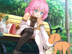  asymmetrical_legwear bench blue_eyes blush breasts canine detached_sleeves female game_cg long_hair medium_breasts onono_imoko outdoors pantyhose park_bench pink_hair puppy rance_(series) rance_01 sill_plain sitting smile solo uneven_legwear 