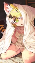  absurdres animal_ear_fluff animal_ears black_hair blonde_hair blush breasts cat_ears cat_girl cat_tail collarbone extra_ears eyelashes female green_eyes head_tilt highres kemono_friends looking_at_viewer medium_hair melaton multicolored_eyes multicolored_hair nightgown one_eye_covered open_mouth sand_cat_(kemono_friends) see-through sitting small_breasts solo tail under_covers wariza white_hair yellow_eyes 