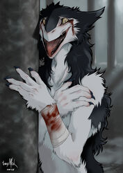 anthro bandage belly black_body black_fur blood blood_on_bandage bodily_fluids female fur looking_at_viewer mammal mick39 open_mouth outside pupils rain_silves sergal slit_pupils solo tongue tongue_out white_belly white_body white_fur