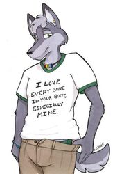 2001 anthro bad_pun bracelet canid canine canis clothed clothing ear_piercing english_text freedom_rings green_eyes grey_hair hair humor jewelry looking_at_viewer male mammal multicolored_jewelry multicolored_necklace necklace piercing rainbow_jewelry rainbow_necklace rainbow_symbol sean_o&#039;hare shirt simple_background smile solo stated_homosexuality stated_sexuality tail text topwear undressing vintage white_background wolf