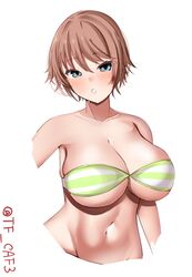  alternate_costume armpits bare_shoulders bikini blue_eyes blush breasts brown_hair cleavage commentary_request female green_bikini groin hair_between_eyes hiei_(kancolle) highres kantai_collection large_breasts looking_at_viewer navel no_headgear parted_lips simple_background solo strapless strapless_bikini striped_bikini striped_clothes swimsuit tf_cafe twitter_username upper_body white_background 