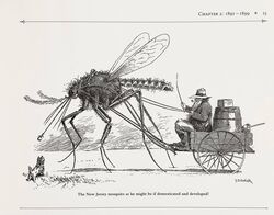  19th_century ambiguous_gender ancient_art arthropod barrel beard black_and_white canid canine canis clothed clothing domestic_dog facial_hair feral fly_(animal) fully_clothed fur group hair hat headgear headwear hi_res human hunting_dog insect_wings insects macro male mammal monochrome mosquito pipe reins scottish_terrier t._s._sullivant terrier trio vehicle wagon wings 