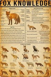  absolutely_everyone ambiguous_gender arctic_fox bat-eared_fox bengal_fox better_version_at_source black_text blanford&#039;s_fox canid canine canis cape_fox comparison corsac_fox coyote crab-eating_fox culpeo_fox educational english_text fennec_fox feral fox grey_fox group hi_res hoary_fox humor infographic island_fox kit_fox large_group mammal marble_fox pale_fox pampas_fox red_fox sechuran_fox south_american_fox swift_fox text tibetan_sand_fox true_fox unknown_artist urocyon 