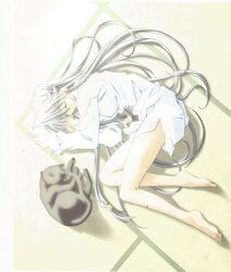  absurdres artist_request feline female highres long_hair my_merry_may_be reu_(my_merry_may_be) shirt silver_hair sleeping solo very_long_hair 