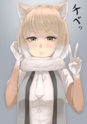  absurdres animal_ears blush buttons clip_studio_paint_(medium) closed_mouth elbow_gloves female fox_ears fox_girl fur_collar gakukuru gloves grey_background hands_up highres kemono_friends light_brown_hair looking_at_viewer medium_hair multicolored_hair necktie open_clothes open_vest parted_bangs shirt simple_background solo tibetan_fox_(kemono_friends) two-tone_hair upper_body v vest white_hair yellow_eyes 