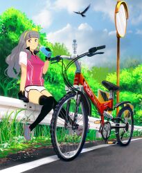  bad_id bad_pixiv_id bicycle bird black_thighhighs bottle brown_eyes cloud day female gloves grey_hair guard_rail idolmaster idolmaster_(classic) idolmaster_2 kouno_(masao) long_hair outdoors photoshop_(medium) road road_sign shijou_takane shoes shorts sign sitting sky smile solo thighhighs traffic_barrier traffic_mirror water_bottle 