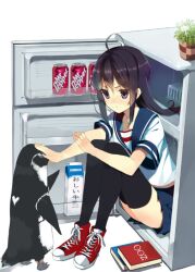  ahoge bad_id bad_pixiv_id bird black_hair black_thighhighs book can dr_pepper drink_can female in_container in_refrigerator koba long_hair milk original penguin photoshop_(medium) plant pleated_skirt purple_eyes refrigerator school_uniform serafuku shoes sitting skirt sneakers soda soda_can solo thighhighs translated zettai_ryouiki 