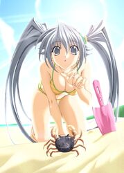  all_fours artist_request beach bikini crab crustacean day female grey_eyes grey_hair long_hair my_merry_may_be reu_(my_merry_may_be) sand solo swimsuit twintails yellow_bikini 