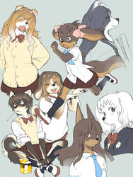  3:4 anthro asian_clothing beverage bird_dog canid canine canis clothed clothing cocker_spaniel dobermann domestic_dog east_asian_clothing female group hanakoji_terasu hunting_dog inukoro_(kikurage) japanese_clothing japanese_school_uniform kemono kikurage koriyama_meiko koriyama_sumie kuroshiba_nagomi kusuda_korone mammal pinscher school_uniform shiba_inu shirakawa_tamami spaniel spitz tachibana_peko uniform young young_anthro young_female 