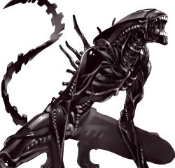  alien alien_(series) alien_vs._predator aliens_(1986) commentary_request fangs highres monster no_humans predator_(series) science_fiction solo tail teeth velzhe xenomorph 