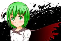  antennae bad_id bad_pixiv_id bee beetle blush_stickers bug butterfly cape centipede dragonfly female firefly green_eyes green_hair light_smile long_sleeves looking_at_viewer minaka praying_mantis rhinoceros_beetle short_hair solo touhou transparent_background wriggle_nightbug 