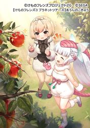  2girls :d ^_^ animal_ears anteater_ears anteater_tail apple apple_tree armadillo_ears armadillo_tail bare_shoulders blonde_hair blunt_bangs bow bowtie braid center_frills closed_eyes commentary_request crop_top day extra_ears food frills fruit fur_collar gloves gradient_hair hairbow kemono_friends kemono_friends_3 long_hair long_sleeves multicolored_hair multiple_girls official_art ok_sign open_mouth outdoors pantyhose pink_fairy_armadillo_(kemono_friends) pink_gloves pink_hair ponytail sacanahen short_hair shorts silky_anteater_(kemono_friends) sleeveless smile tail translated tree white_hair 