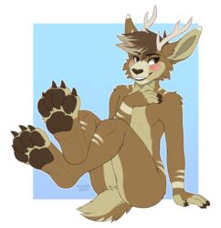  2020 4_fingers 4_toes anthro antlers arm_support arm_tuft ass athletic athletic_anthro athletic_male barefoot biped black_eyebrows blue_background blush border brown_body brown_claws brown_eyes brown_fur brown_hair brown_nose brown_pawpads cheek_tuft claws conditional_dnp crossed_legs dated digital_drawing_(artwork) digital_media_(artwork) dipstick_hair embarrassed eyebrows facial_tuft feet femboy fingers fluffy fluffy_tail foot_focus front_view fur fur_markings fur_tuft grey_text hair hand_on_chest head_tuft hindpaw horn jackalope kazuk9 lagomorph legs_up looking_away male mammal markings matt_(jackalopeboyo) multicolored_body multicolored_fur nude number on_ground pawpads paws plantigrade short_hair shoulder_tuft shy signature simple_background sitting small_tail smile solo striped_body striped_fur stripes tail tan_body tan_fur tan_stripes teeth three-quarter_view toe_claws toes tuft white_border 