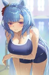  absurdres animal_ears blue_hair blue_one-piece_swimsuit blurry blurry_background blush braid breasts c2h6o cleavage closed_mouth ear_ribbon female highres horse_ears horse_girl horse_tail indoors large_breasts long_hair looking_at_viewer mejiro_ardan_(umamusume) one-piece_swimsuit pool purple_eyes red_ribbon ribbon solo swimsuit tail thighs tracen_swimsuit umamusume wet wet_clothes wet_swimsuit 