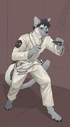  2023 absurd_res anthro banoncat banoncat_(character) blue_eyes chest_tuft cloth_belt clothing domestic_cat felid feline felis fighting_pose fur grey_body grey_fur hair hi_res looking_ahead male mammal martial_arts_dojo martial_arts_uniform multicolored_body multicolored_fur pawpads pose shadow siamese solo sportswear tan_body tan_fur text text_on_clothing tuft two_tone_body two_tone_face two_tone_fur 