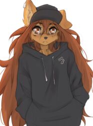  2024 anthro apogee_(tinygaypirate) brown_eyes brown_hair canid canine canis clothed clothing domestic_dog ear_piercing female front_view fur hair hat headgear headwear hi_res hoodie inner_ear_fluff long_hair looking_at_viewer mammal neck_tattoo one_ear_up piercing simple_background solo tan_body tan_fur teeth tinygaypirate topwear tuft white_background 