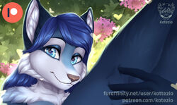  :3 advertisement anthro bianca_(sheep_and_wolves) blossoms blue_body blue_eyes blue_fur blue_hair canid canine canis casual_nudity daww digital_media_(artwork) female flower fur gloves_(marking) hair heart_symbol holding_both_legs holding_legs_up kotezio mammal markings nude patreon patreon_logo patreon_username plant preview russian sheep_and_wolves smile solo sparkles sparkling_eyes teaser text tree tuft url white_body white_fur wizart_animation wolf 