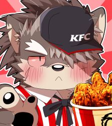  anthro aroenikuniku blush canid canine canis chicken_meat domestic_dog facial_scar food fried_chicken fur grey_body grey_fur hair hair_over_eyes hi_res kfc kfc_bucket lifewonders long_hair male mammal meat pawpads ponytail scar shino_(tas) solo tokyo_afterschool_summoners 