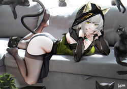  :q anal anal_object_insertion anal_tail animal animal_ear_fluff animal_ears arknights ass backless_panties black_cat black_dress black_tail black_thighhighs breasts cat_ears cat_tail chinese_commentary closed_mouth commentary_request couch dress fake_tail feet feline female green_dress green_eyes grey_hair hood hood_up hoodie jewelry kal&#039;tsit_(arknights) looking_at_viewer lying menacing_(jojo) no_panties object_insertion official_alternate_costume omone_hokoma_agm on_couch on_stomach panties pussy_juice pussy_juice_trail signature smile soles solo tail thighhighs thighs tongue tongue_out underwear 