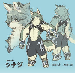  2020 anthro blue_background canid canine chest_tuft english_text fluffy fluffy_tail fur green_hair hair japanese_text kemono looking_at_viewer male mammal simple_background smile snout solo tail tatotake_mono text translated tuft 