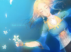  afloat bracer closed_eyes commentary copyright_name eyebrows female flower forehead hair_down hair_ornament hairclip long_hair lying mochimochi_dando on_back parted_bangs photoshop_(medium) pointy_ears princess_zelda silent_princess solo the_legend_of_zelda the_legend_of_zelda:_breath_of_the_wild water 