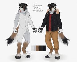  2019 anthro black_body black_clothing black_fur black_hair black_jacket black_nose black_pawpads black_topwear bottomwear brown_body brown_bottomwear brown_clothing brown_fur brown_pants canid canine canis cheek_tuft clothed clothing crotch_tuft cyrillic_text dated digitigrade domestic_dog facial_tuft famir_(artist) featureless_crotch floppy_ears fluffy fluffy_tail front_view fur grey_body grey_fur hair jacket leg_tuft male mammal neck_tuft nude pants pawpads piercing red_clothing red_topwear signature simple_background solo standing tail text tongue tongue_out tongue_piercing tongue_stud topwear translation_request tuft white_background white_body white_fur 