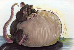  2002 anthro belly big_belly blush charlotte&#039;s_web claws feral fur grey_body grey_fur half-closed_eyes hands_on_belly hi_res huge_belly licking licking_lips looking_at_viewer male mammal motion_lines murid murine narrowed_eyes nick_bondra obese obese_feral overweight overweight_feral overweight_male paws phraggle rat rodent signature sitting solo templeton_(charlotte&#039;s_web) tongue tongue_out traditional_media_(artwork) whiskers 