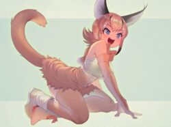  :d bare_shoulders belt blue_eyes boots bow bowtie breasts caracal_(kemono_friends) caracal_ears caracal_tail commentary elbow_gloves eyebrows_visible_through_hair fangs female full_body gloves highres kemono_friends kneeling large_breasts mifu_(b24vc1) open_mouth orange_bow orange_gloves orange_hair orange_legwear shirt simple_background skirt smile solo thighhighs two-tone_background white_footwear 